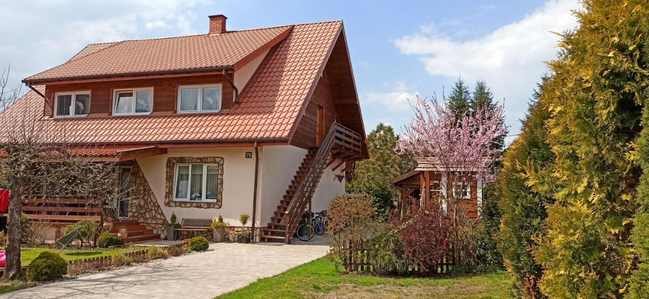 Rodzinny Zakatek "U Gluszkow" Bieszczady Myczkowce Exteriér fotografie
